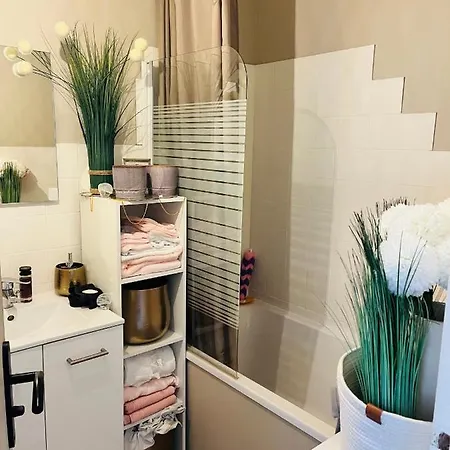 Daire Sur Le Sable 2 3 Pers Wifi