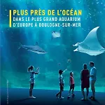 Sur Le Sable 2 3 Pers Wifi
