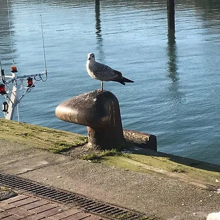 Sur Le Sable 2 3 Pers Wifi Boulogne-sur-Mer